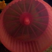 kolowrotek dla chomika