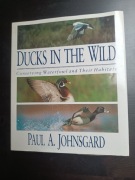 Ducks on the wild Paul A. Johnsgard Dzikie kaczki Kaczka na wolności