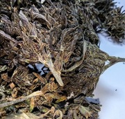 2025 10g BlueBerry Legalny naturalny susz CBD od producenta