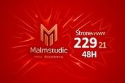 SZOK! Twoja Profesjonalna Strona WWW w 48h za JEDYNE 229 