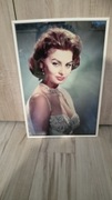 Obraz SOPHIA LOREN