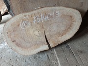 Plaster Drewna BUK 73/40/9 cm Blat Stolik Żywica DIY Wysuszony