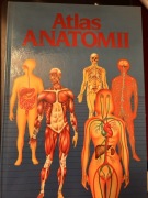 Atlas anatomii. Enric Gil de Bernabé Ortega