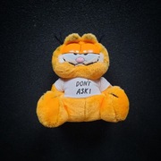 Garfield vintage 1981 Don't Ask