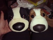 PIESKI, PSIAKI, PSY - urocze maskotki, miękkie pluszaki 12 sztuk