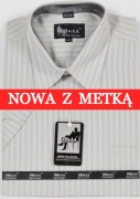 Koszula męska szara w paski na krótki rękaw kołnierzyk 40/41