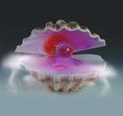 Nawilżacz Powietrza w Kształcie Muszli Generator Pary Powystawowy!