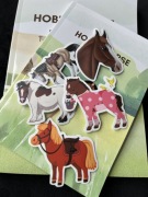 Dziennik treningowy i paszport Hobby Horse