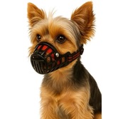 MAULKORB Silas SCHWARZ XXS Kaganiec 25-36CM / Nase 3,5x4CM