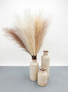 Zestaw 24x Trawy Suszone + 3 Wazony Boho Beż Morela Latte Dekoracja