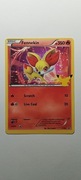 Karta Pokemon TCG Fennekin
