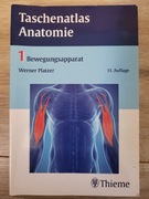 Taschenatlas Anatomie 1 Bewegungsapparat Werner Platzer 11 Auflage
