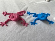 Zestaw tropikalnych ząb