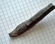 Stary wycior czarnoprochowca