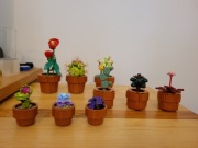 Lego Botanicals 10329 Małe Roślinki