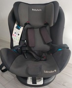 Fotelik samochodowy Baby Safe Labrador 9–36 kg