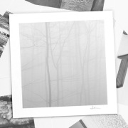 Autorska fotografia "Duchy Lasu" - wydruk. 