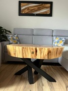 Stolik z plastra wiązu na metalowym "pająku"