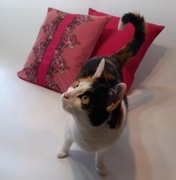 poszewka na poduszkę jasiek 40x40 cm rękodzieło, bawełna