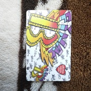 Karta Chipowa 160D Numer Drukowany