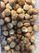 Orzechy laskowe w skorupie