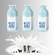 Mleko A2A2 od krów jersey 3 l