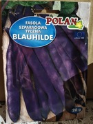 Fasola szparagowa tyczna "Blauhilde"