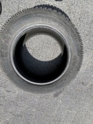 Opona ARTIC-2 CEAT zimowa 205/55 R16 91H