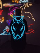 Neon LED Na Ścianę.Ozdoba Świetlna. Sowa