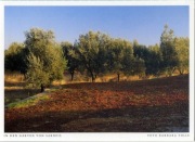 Turcja: ogrody Sardes nowa