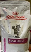 Royal Canin VHN Cat Renal Special - sucha karma dla kotów z niewydolnością