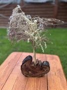 Wazon drewniany wiśnia