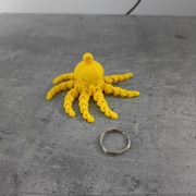 Keyrambit ośmiornica 