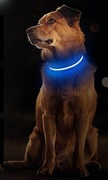 Świecąca obroża dla psa, akumulatorowa obroża LED, niebieski-S