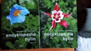 Encyklopedia bylin Grabowska tom 1/2 komplet