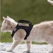 Taktyczne szelki regulowane, uprząż dla kota, psa CZARNE nowe NAJTANIEJ