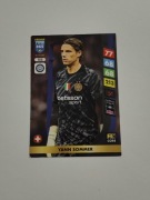 PANINI FIFA 365 2025 YANN SOMMER 155 