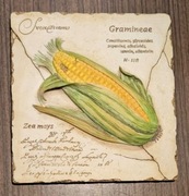 Śliczny obrazek z alabastru 