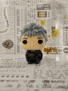 Pani Hooch – Quidditch – Kinder Joy Edycja 2