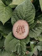 Drewniany magnes ręcznie wypalany wzór sosny las