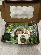 Mini Box zabawkowy dla chłopca w kolorze zielonym 