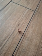 Dysza plazmy S-75 1,0mm