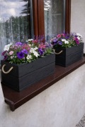 Donica  drewniana Black 60x25