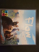 Flow gra planszowa boardgame