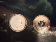 Monety srebrne 2 oz Tudor 1 oz grendels
