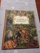 Co budują zwierzęta? Emilia Dziubak