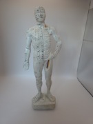 Model akupunktury ludzkiego ciała profesjonalny 27cm 