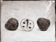 Ambrotypia - Hell's Kitchen 022