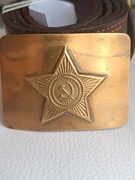 Brązowa klamrę (płytkę)