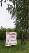 Działkę 10330m sprzedam